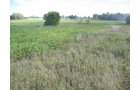 Property photo 10 - 110+/- Acres offered in 4 Tillable Tracts